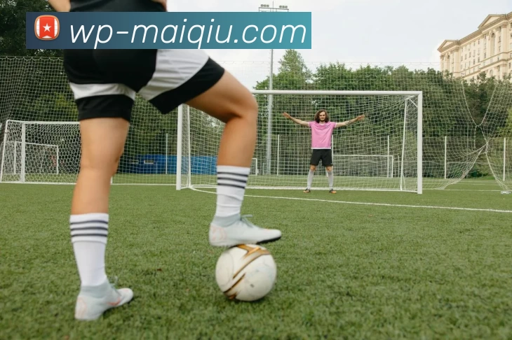 买球线上官方APP 封面图