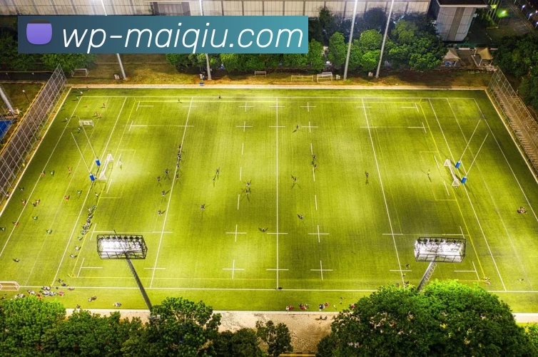 数据防护可视化